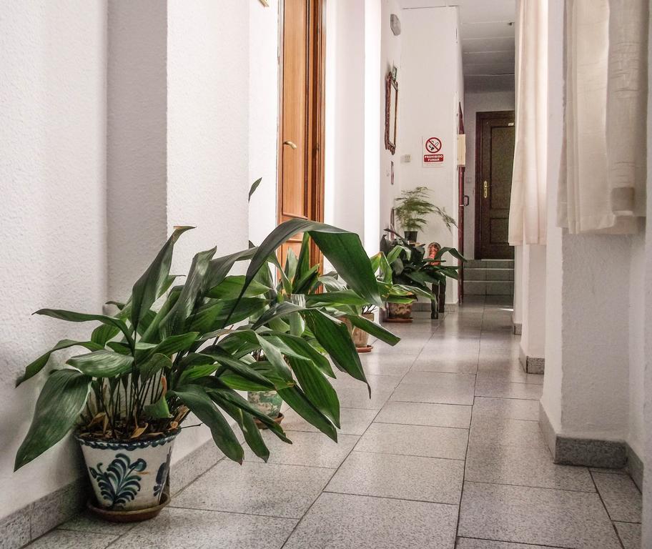 Pension Ciudad Navarro Ramos Гранада Екстериор снимка